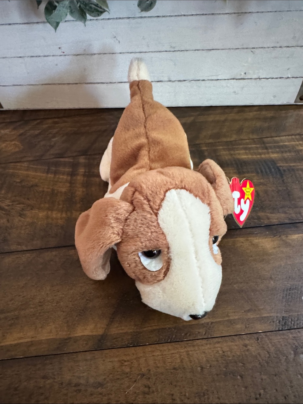 Beanie Baby “Tracker” TY Brown and White Plush Dog Beanie Toy